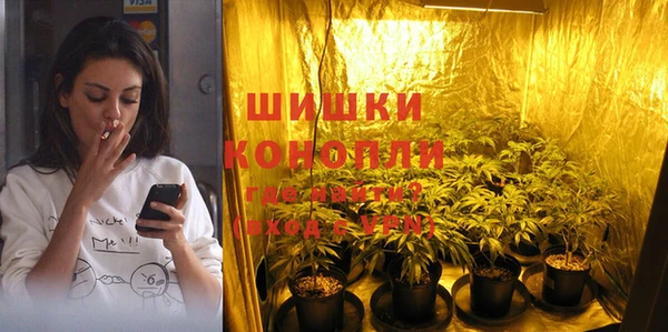 МДМА Ельня