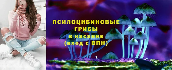 МДМА Ельня