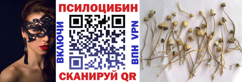 Купить  Топки  Псилоцибиновые грибы MAGIC MUSHROOMS 